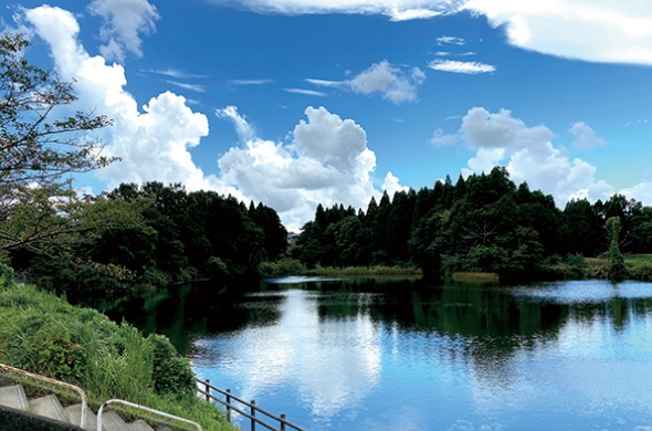 高久蓮池公園