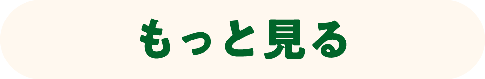 もっと見る